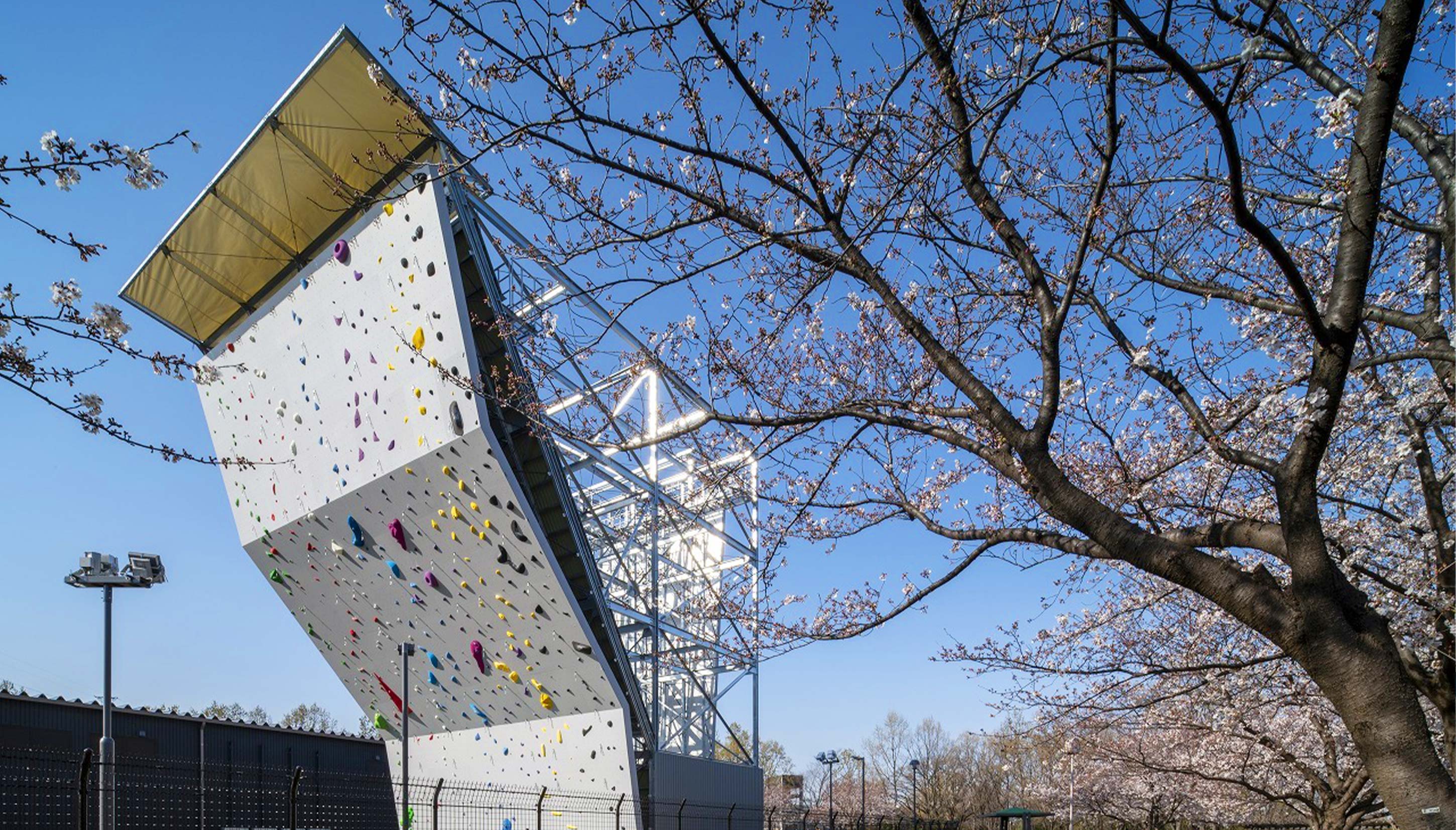 東金町運動場スポーツクライミングの写真