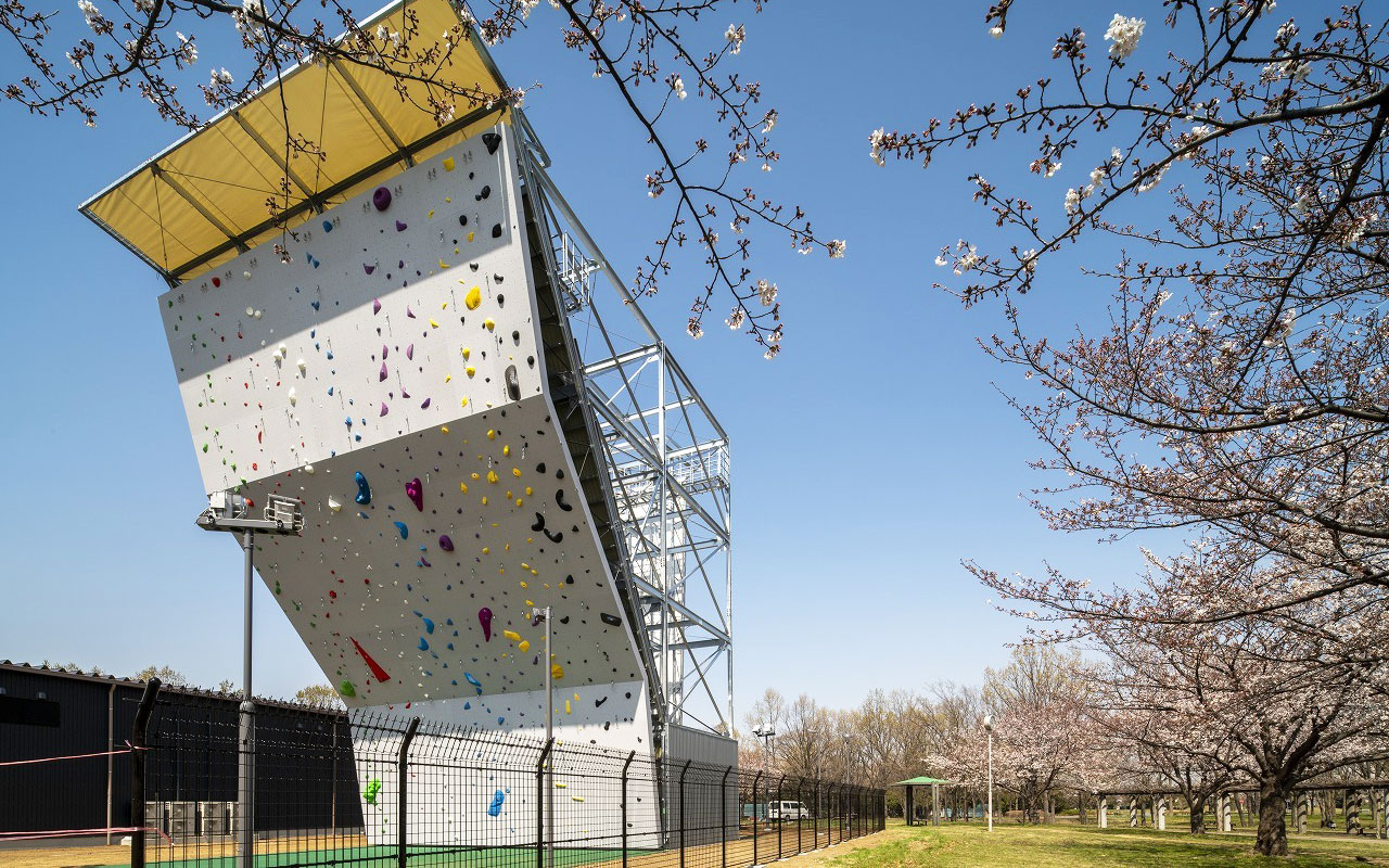 Lead(リード)の写真